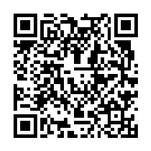 可她依然执拗地认为这是清兰身为下人对她的不尊二维码生成