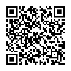 可如今安齐远所做之事与之前相比实在不算出格的二维码生成