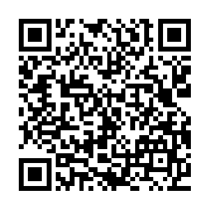 可安齐远脑海中却出现了苏澈之前跟他说过的那些报应不爽的话二维码生成
