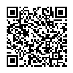 可就是这样淳朴的一群人现在计划着要杀一个孩子二维码生成