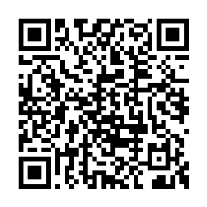 可就算他把这妖道的身上的骨头给轰的一震一震二维码生成