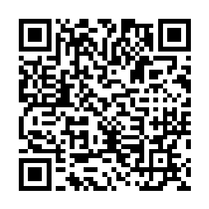 可忽然他感觉到有什么东西沿着他的脚踝正在往他身上爬二维码生成