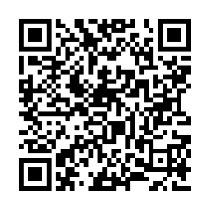 可怕地撕扯之力将二人探出地双臂瞬间扯断而去二维码生成