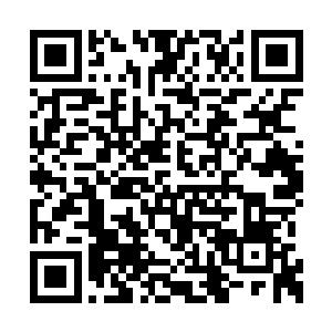 可怜的楚少姜还不知道……他泄露了怎样的细节二维码生成