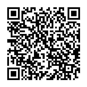可惜大剑被突然变得坚硬无比的铁绳束缚在空中根本就动弹不得分毫二维码生成