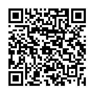 可惜的是他们连掰弯卷帘一根手指头的力量都没有二维码生成