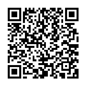 可惜秦方实在是很难代入……首尔大学是韩国首屈一指的大学二维码生成