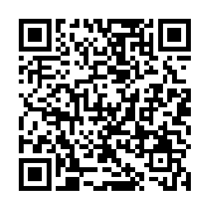 可我确确实实是答应了申柔要帮她除掉南宫离珠的胎儿二维码生成