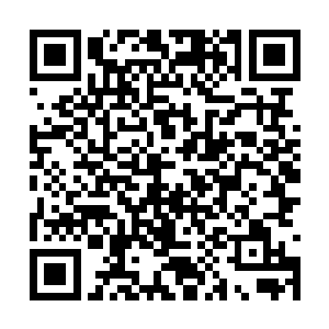 可是……这个车小小竟然有让灵魂变得强大的宝物二维码生成