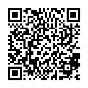 可是一下子上千万的损失绝对不是他这个小小的荷官可以承受的二维码生成