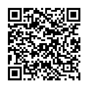 可是一个只有七八岁的小孩儿竟然有着神王境界的修为二维码生成