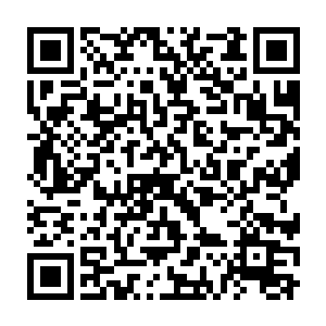 可是一想到他这么大的年纪居然在一个晚辈一个丫头片子面前示弱二维码生成
