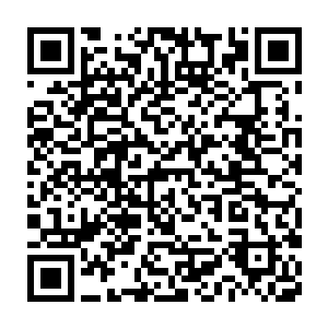 可是为什么他们以前听临村的人说张锋在归德只是在工地上打小工呢二维码生成