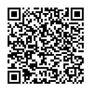 可是他以闻人家族核心成员的身份每年能够获得的分红都是一个天文数字二维码生成
