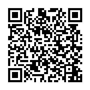 可是他看到江帆这么多伙计还有一些达官贵人都有往来二维码生成