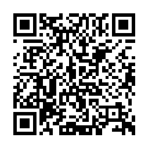 可是他花费重金从晋元界地下杀手集团雇佣来的二维码生成