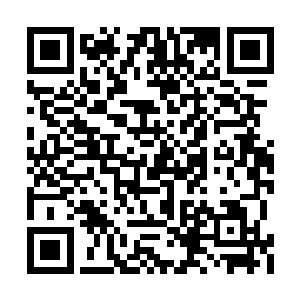 可是以儒艮王为首的那些生物的动作并没有停止二维码生成