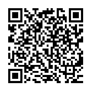 可是关系到苍茫界罗浮宫和雁山剑派两大霸主级势力的大事情二维码生成