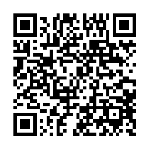 可是却不是想要把自己的儿子交给李大可被玩死二维码生成