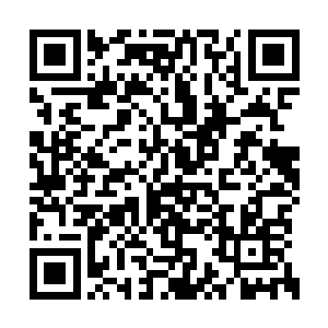 可是却几乎从来没有一个人询问那个种子的价格二维码生成