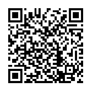 可是夏天的战斗力值是不可能达到八万以上的才对二维码生成