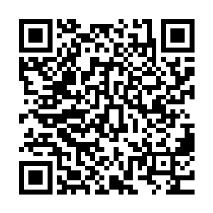 可是如果同时有十几二十发麻醉子弹同时释放出麻醉气体的话二维码生成