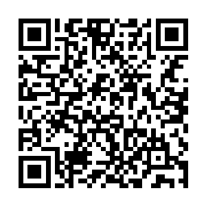 可是小金和小青的出现已经彻底将这个说法给打破了二维码生成