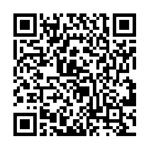 可是扶苏只是趴在垫子上自顾自地啃着自己的小手指二维码生成