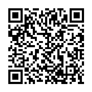 可是早已经从幽灵界主和关风提供给我的情报里二维码生成