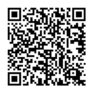 可是杨戬竟然直接从古神中期顶峰的修为顷刻间飙升到了大帝顶峰二维码生成