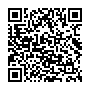 可是格罗廖夫好像是要对叶莲娜说些什么的时候二维码生成