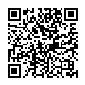 可是现在他突然觉得原来的主人真是一个有远见的家伙二维码生成