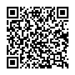 可是现在居然又多出了一个神秘而且强大的家伙二维码生成