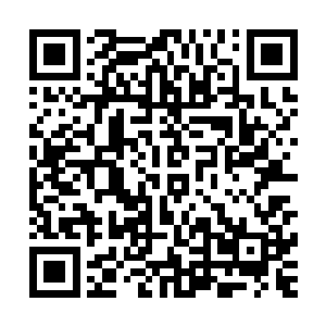 可是现在竟然连续的灭掉了血冥蛇和五毒尊者两个恐怖的存在二维码生成