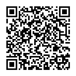 可是看了龙傲天给的有关修真的知识还有经过混沌筑基丹的一个催化作用二维码生成