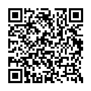 可是金童双手夹着长剑让它没办法往前移动分毫二维码生成