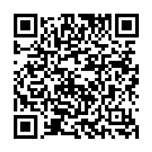可是闭上双眼她仍然能够看到累累白骨出现的一幕二维码生成