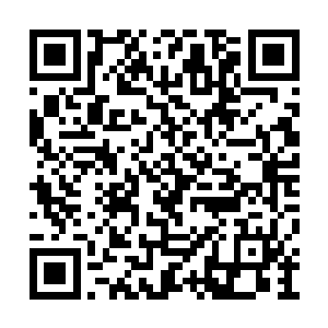 可是雷君豪对他从贫民窟救出的康云云情有独钟二维码生成