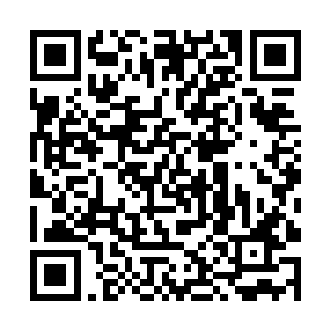 可每一次只要是给秦天发信息就会有种说不出的快乐二维码生成