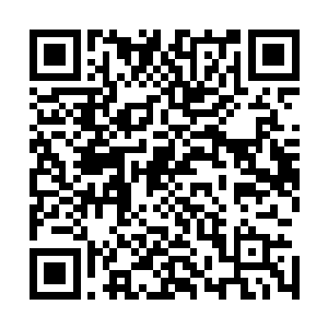 可秦宇在铜钹山洞中就发现了几十具931部队的人留下的尸体二维码生成