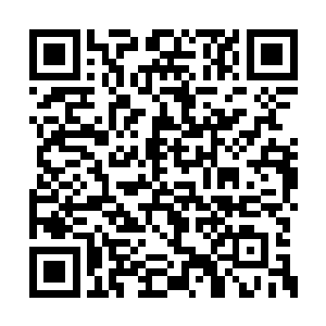可能与承恩公四公子并列的必也是赵阀优秀子弟二维码生成