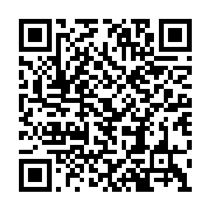 可能会让你很痛苦……我也希望你能安详地死去二维码生成