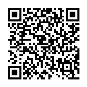 可能巴克那伤痕累累的身上加上拙劣的刺青看着更是心酸二维码生成