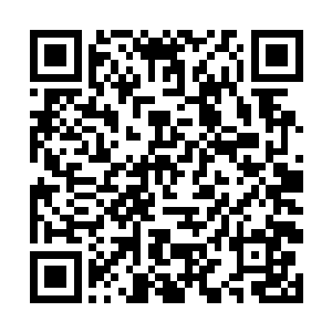 可能是分流到天之境就能活下去的消息已经散布出去二维码生成