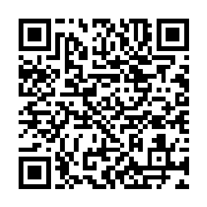 可能是因为从小就在一个脱离世俗道德的环境下生长二维码生成
