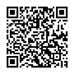 可能是在成长过程中遇到了什么天敌……具体的……具体的……二维码生成