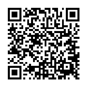 可能还会将那密密麻麻过于细小的虫子当做是扩散开的血液二维码生成