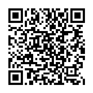 可见这些吃饱了撑的财团在这个地方下足了本钱二维码生成