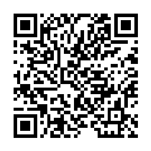 可谁难保证那些小鬼进了长生的体内就没有祸害长生啊二维码生成