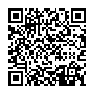 可这一个多月里她硬是连这个小岛都没有出去过二维码生成